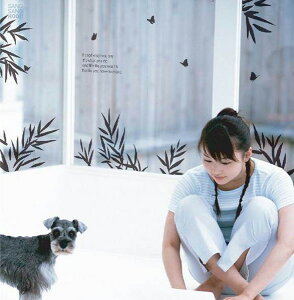 EH[XebJ[  `E  킢  Lb` gC k mg[ ^  傫 傫TCY V[EBh[ fBXvC  KX ؍