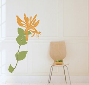 EH[XebJ[   킢 Lb` rO k mg[ ^  傫 傫TCY CeA  KX ؍