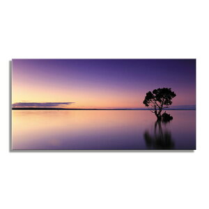 �y����N�[�|���z�z���z �A�[�g�p�l�� SUNSET W100cm H50cm �V���v�� ���� �G �����̔��������i �Ǌ|�� �V�z ���� �y�ʂŏ���₷�� �C�ӂ̃V�[����`�����A�[�g �������������͋C�����o