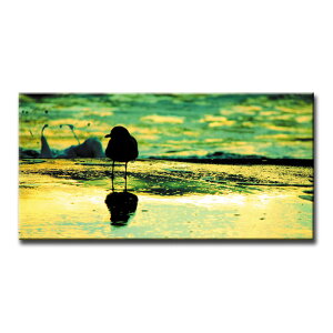 �y����N�[�|���z�z���z�G�� �C���e���A �A�[�g�p�l�� SEAGULL W100cm H50cm �V���v�� �J�����̔�ԕ��i �Ǌ|�� �V�z ���� �y�ʂŐݒu�ȒP �C�ӂ̕��i��`�����A�[�g�p�l�� ���R�̔�������������