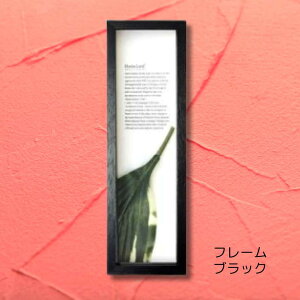 yX[p[SALEN[|z [tpl ~j AWA nCAɂE߂̃~jA[g jb` CeA jb`A[g ֐gC Lb`Ȃ 傱Ə zX^[t1