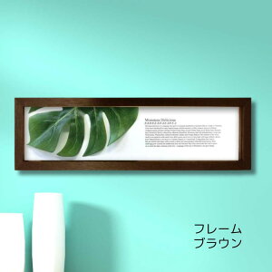 yX[p[SALEN[|z [tpl ~j nCA AWA eCXgɂE߃~jA[g jb` CeA jb`A[g Xe2 t[J[FuE