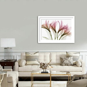 A[gpl k Ǌ| Ǐ  alstroemeria AXgA gQA[g G CeA  Vv Q rO ItBX ze   Vzj JƏj a@ N