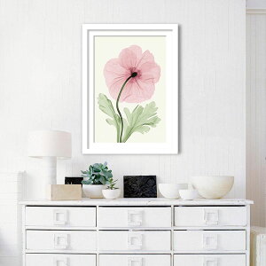 A[gpl k Ǌ| Ǐ  Iceland Poppy I |s[ qiQV gQA[g G CeA  Vv Q rO ItBX ze   Vzj JƏj a@ N