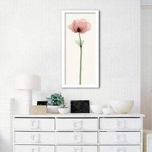 A[gpl k Ǌ| Ǐ  Anemone IVAll gQA[g G CeA  Vv Q rO ItBX ze   Vzj JƏj a@ NjbN T