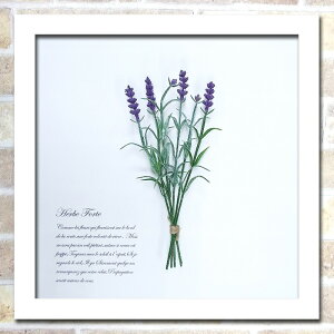 yBLACK FRIDAYN[|z x_[ [tpl yɏCeAA[g tFCNO[  Ǌ| zCg ؍ z zt ͗lւ  t[Lb` gC 