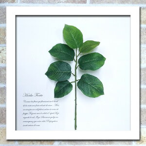 [t [tpl yɏCeAA[g tFCNO[  Ǌ| zCg z zt X^CbV Lb` rO A JtF Xg  n[