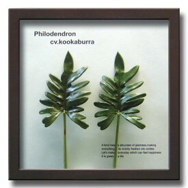 リーフパネル フィロデンドロン Philodendron 手軽に飾れるヒーリングインテリア フェイクグリーン 玄関 ダイニング トイレに飾る 壁掛け