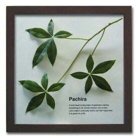リーフパネル パキラ Pachira 手軽に飾れるおしゃれインテリア フェイクグリーン 葉っぱ 額入り キッチン 和室 リビング ダイニングに飾る 壁掛け
