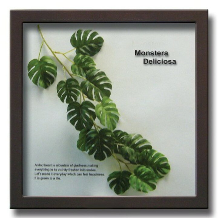 楽天市場】リーフパネル モンステラ ForestDeco Monstera 手軽に飾れる  