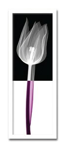 A[gpl  k Ǌ| Ǐ _ Stem Xe3 mN gQA[g G CeA  Vv Q rO ItBX ze   JXj JƏj a@ N