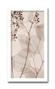 yӍՌN[|z A[gpl k Ǌ| Ǐ  Eucalypti [J gQA[g G CeA  Vv Q rO ItBX ze   Vzj J