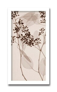 A[gpl k Ǌ| Ǐ  Eucalyptus II [J gQA[g G CeA  Vv Q rO ItBX ze   Vzj JƏj a@ NjbN