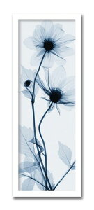 A[gpl k Ǌ| Ǐ  Tall Dahlia _A gQA[g G CeA  Vv Q rO ItBX ze   Vzj JƏj a@ NjbN T