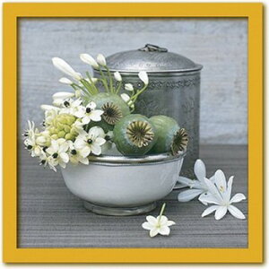 G Ǌ| CeA  jb`  킢 ~jA[g k ǊG    |X^[ zt  G