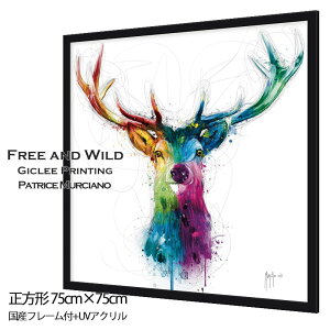 rrbhJ[̊G Free  Wild  VJ CeA Patrice Murciano A[gpl k _ G 75x75cm ۓIŃ_Ci~bN TApVbv̕Ǒ