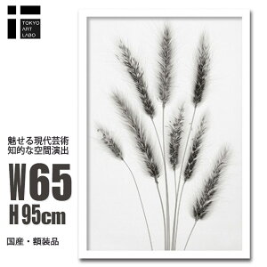 yX[p[SALEN[|z t[tA[g|X^[ Steven N.Meyers Hare's Tail OX gQ tHg  A CeA A[g Ǌ|  ETMmI oj[e[