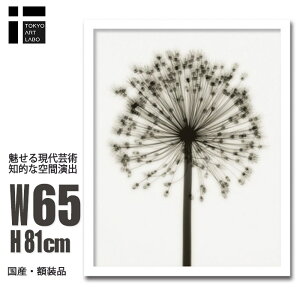 A[gpl k Ǌ| Ǐ  Allium AE mN gQA[g G CeA  Vv Q rO ItBX ze   Vzj JƏj a@ Nj