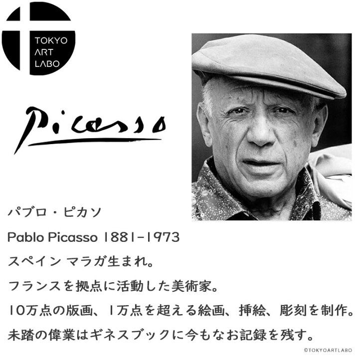 楽天市場 Art Collection パブロ ピカソ 絵 Pablo Picasso Line Art The Owl 梟 鳥の絵 選べるフレームカラー おしゃれ ポスター 韓国 壁掛けアート専門店東京アートラボ