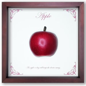 ̃tFCNt[cA[gyR-Fruitz@񂲁yapplez@Iׂt[J[
