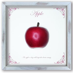 ̃tFCNt[cA[gyR-Fruitz@񂲁yapplez@Iׂt[J[