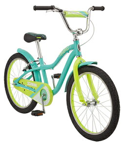 yρzyPRzy݌ɏz2019@SCHWINNiVEBjSTAR@DUST@20C` qԁ@݌Ɍ