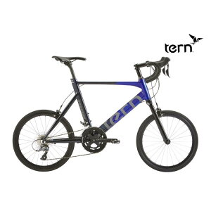 yPRzT91y25OFFzAEgbg 2024Terni^[)SURGE@FADING@NIGHT@52cm@J[@a]ԁ@݌Ɍ