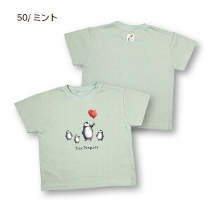 yY I[KjbNRbg TVczv I[KjbNRbg×TCNRbg 100% 21/-aV yM D  LbYTVc qǂ q xr[ vg