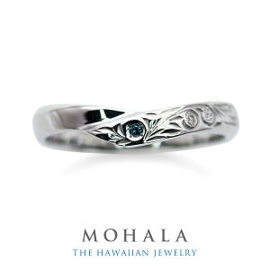 yP×5{IzMOHALA n XeX nCAWG[ vZXJbg u[_Ch yAO YO fB[XO AM[  Vv LO