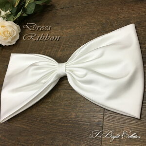 yēׁzRT[W {(39×20cm) Sst wAANZT[hX̃|Cg obN{  ItzCg wbhhX  m uC_   hXA