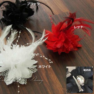 yPizRT[W   wbhhX zCg ubN bh tH[} wAANZT[ s Nbv Vv H p[eB \ ANZT[  l U  