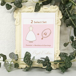 y2_Zbgz pjG(2ior3i)ElbNXCÔȃZbg EGfBO hX   CO  ZbglC