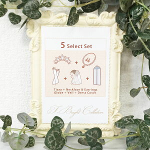 y5_Zbgz eBAEO[uElbNXCOEx[EhXobÔȃZbg EGfBO hX   CO  Zbg lC ANZT