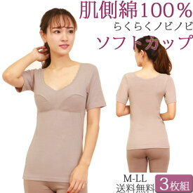 汗取りインナー カップ付き 半袖 インナー ブラトップ ナイトブラ 肌側 綿100％ レディース 半袖tシャツ セット 3枚 ノンワイヤー 大きいサイズ ll L M あったかインナー ロング丈 吸汗 汗じみ防止 背中 透けない 透け防止 3分袖 半袖インナー inner ladies 母の日 ギフト