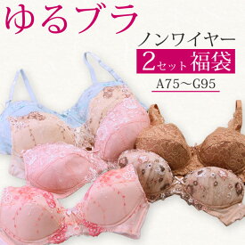 ブラジャー 大きいサイズ アンダー 大きめ ノンワイヤー ブラ レディース かわいい ノンワイヤーブラ 福袋 2025 セット 2枚 A B C D E F Gカップ 75 80 85 90 95 グラマーサイズ 楽らく レース レディースインナー フルカップ 締め付けない