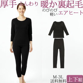 厚手 裏起毛 長袖インナー あったかインナー レディース ペチコート 暖かい ももひき 秋 冬 防寒 ズボン下 ペチパンツ 上下 セット 大きいサイズ 3L LM LL 黒 透け防止 あったかパンツ レギンス ロング タイツ 冷え対策 部屋着 ストレッチ スパッツ 9分丈 8分袖