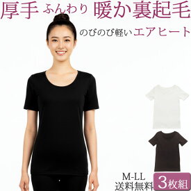 厚手 裏起毛 半袖インナー あったかインナー レディース 秋 冬 暖かい 防寒 3分袖 ロング丈 セット 3枚 大きいサイズ LL M L 黒 白 透け防止 女性 下着 婦人 肌着 寒さ 冷え対策 部屋着 半袖tシャツ ストレッチ