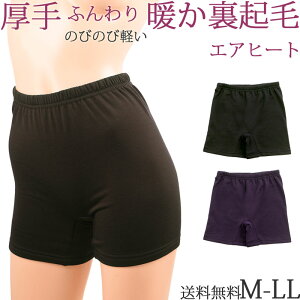  N {NT[pc fB[X y`R[g g y`pc Ȃ H ~ h pc 1 [M:1/2] 傫TCY ll L M  h~ XJ[g I[o[pc Xpbc 