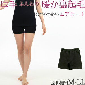  N {NT[pc fB[X y`R[g g y`pc Ȃ H ~ h pc 1 [M:1/2] 傫TCY ll L M  h~ XJ[g I[o[pc Xpbc 