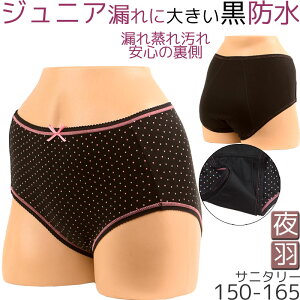 Tj^[V[c WjA H p pV[c HΉ  킢 q ppc hztV[c L [M:1/4] 160 150 165 S WjAp w w  ̎q 