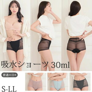 Tj^[V[c z pV[c H zV[c fB[X 30cc hztV[c ARpc p փpc [M:1/2] 傫TCY LL L M S WjA Yp YV