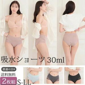 Tj^[V[c z pV[c H zV[c fB[X 30cc hztV[c ARpc p փpc Zbg 2[M:1/1] 傫TCY LL L M S WjA Yp 