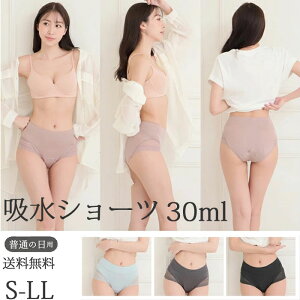 Tj^[V[c z pV[c H zV[c fB[X 30cc hztV[c ARpc p փpc [M:1/2] 傫TCY LL L M S WjA Yp YV