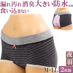 �T�j�^���[�V���[�c �{�N�T�[�p���c ���f�B�[�X ��p ���킢�� �� �����p�V���[�c �H���� �Z�b�g 2��[M:1/2] �傫���T�C�Y ll L M �V���[�c �S���Ȃ� �H�����܂Ȃ��V���[�c �[�� �Y��p �Y��V