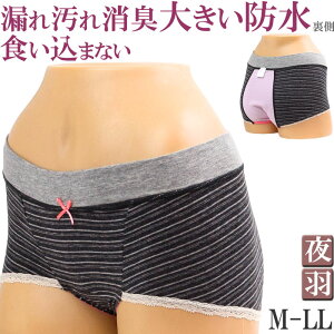 Tj^[V[c {NT[pc fB[X p 킢  pV[c H [M:1/4] 傫TCY ll L M V[c SȂ H܂ȂV[c [ Yp YV[c 