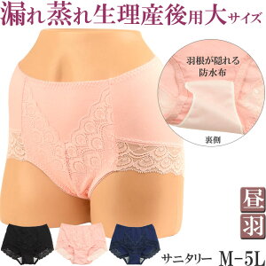 Tj^[V[c H pV[c 킢 fB[X  [΂ ۂV[c h [M:1/3] 傫TCY 5l 3l 4L ll L M V[c Yp YV[c la ߕt