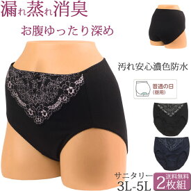 サニタリーショーツ 大きいサイズ 綿 生理用ショーツ かわいい レース レディース 生理用パンツ 深ばき 防水布付きショーツ 消臭セット 2枚[M:1/3]5l 3l 4L 生理ショーツ ゆったり 深め 産後用 産褥ショーツ フルバック 春夏秋冬 shorts ladies