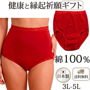 �ԃp���c �Ԃ��p���c �V���[�c ��100% ���f�B�[�X �[���� �V���[�c ���f�B�[�X �[�΂� �V���[�c [M:1/4]�傫���T�C�Y 3L 4L 5L �җ�j�� �Ԃ��p���c ��̓� �h�V�̓� �v���[���g ���� ���� ������