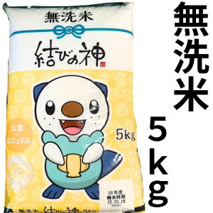  5Kg т̐_  |P ~W} Od |PR{i