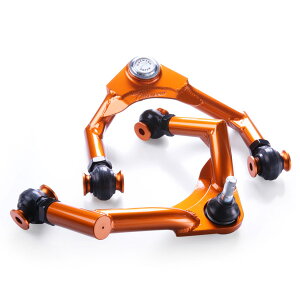 T-DEMAND�yPRO ARM�zLEXUS IS GSE20�t�����g�A�b�p�[�A�[���i�Z�~�L�����^�C�v�j